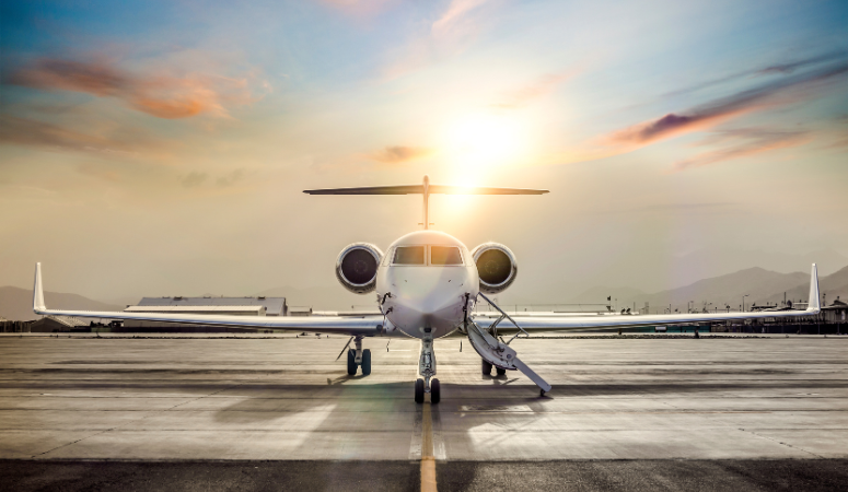 Passenger Information & Documentation - Handled with precision.